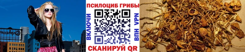 Галлюциногенные грибы GOLDEN TEACHER  Купить закладки  Краснокаменск 